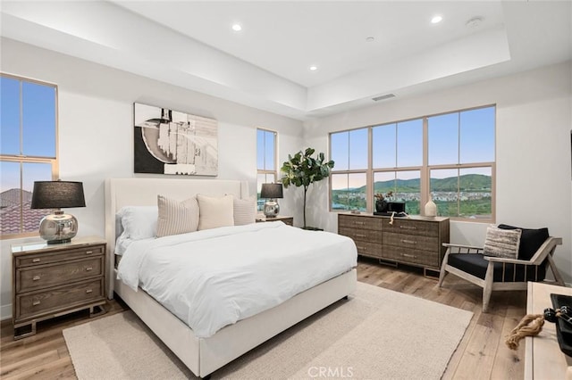 bedroom with a raised ceiling, a mountain view, and light hardwood / wood-style flooring