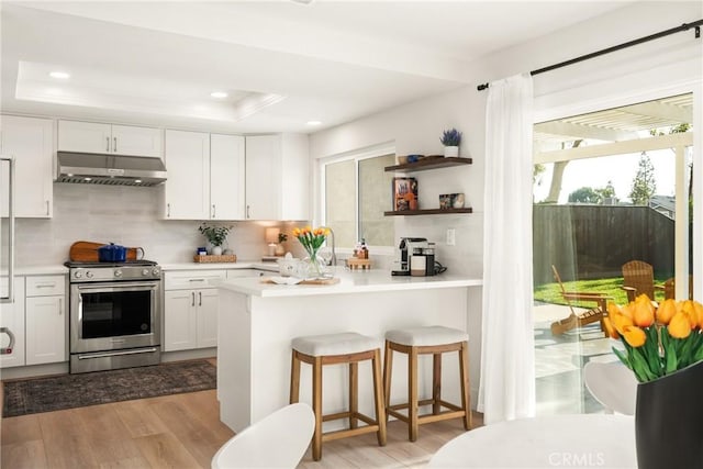 kitchen featuring stainless steel gas range oven, under cabinet range hood, wood finished floors, white cabinets, and a raised ceiling