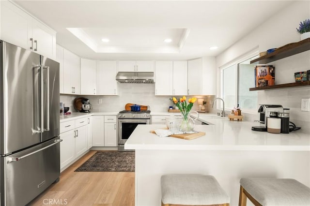 kitchen with a peninsula, under cabinet range hood, stainless steel appliances, and a raised ceiling