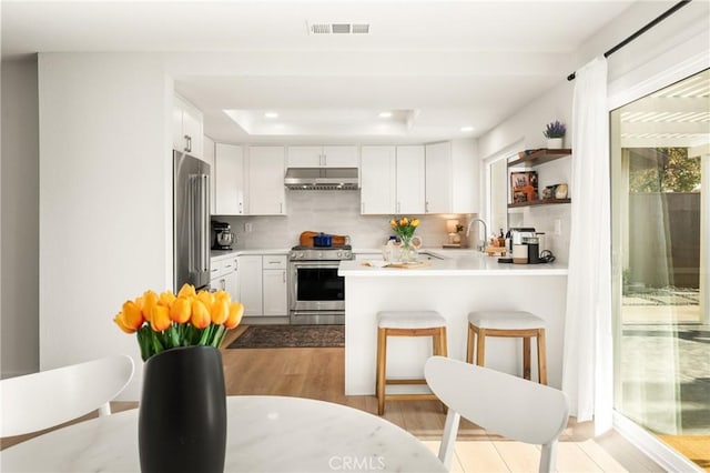 kitchen featuring stainless steel appliances, a raised ceiling, light countertops, visible vents, and under cabinet range hood