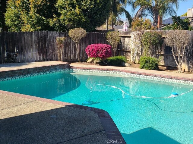 view of pool featuring a fenced backyard and a fenced in pool