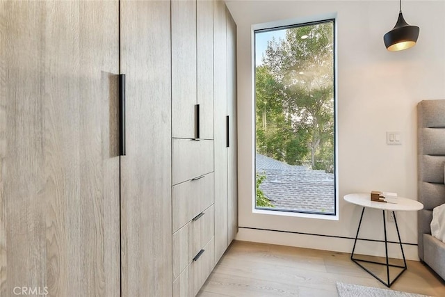 doorway with light hardwood / wood-style floors