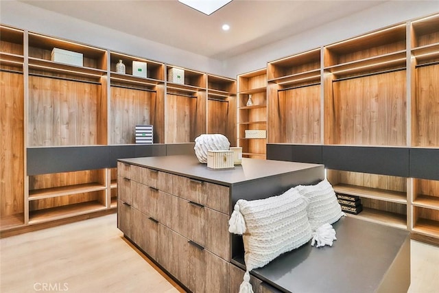 spacious closet featuring light hardwood / wood-style flooring