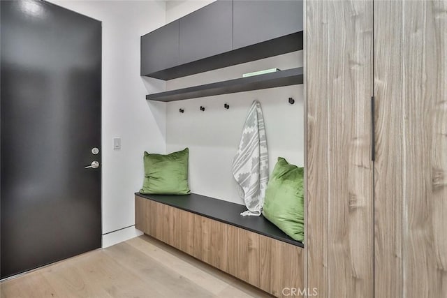 mudroom with light wood-type flooring