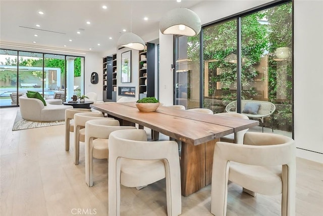 dining space with light hardwood / wood-style floors