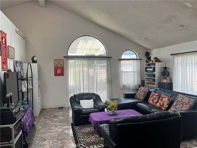 living room with high vaulted ceiling, a wealth of natural light, and a textured ceiling