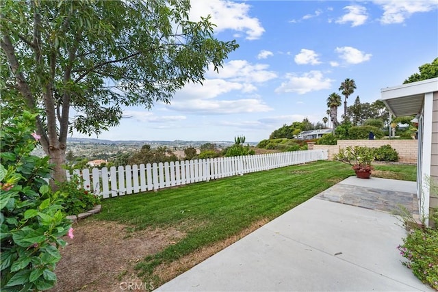 view of yard with a patio area