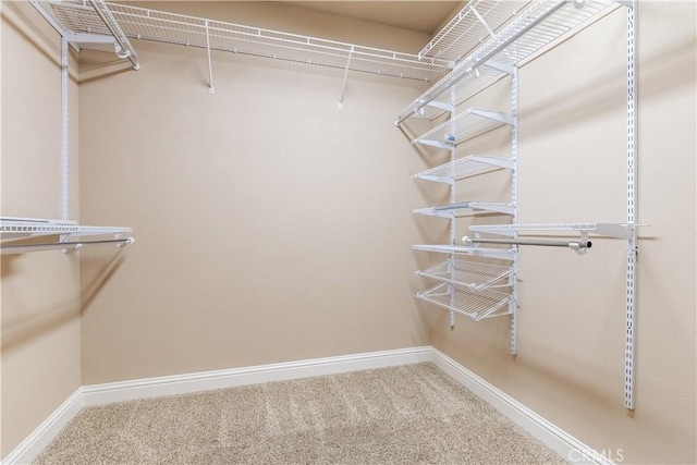 spacious closet with carpet floors