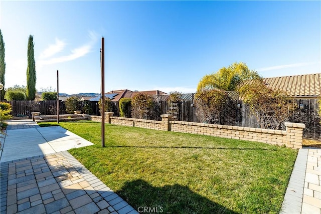 view of yard with a patio