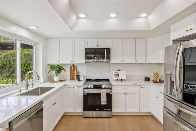 kitchen with white cabinetry, stainless steel appliances, a raised ceiling, and sink