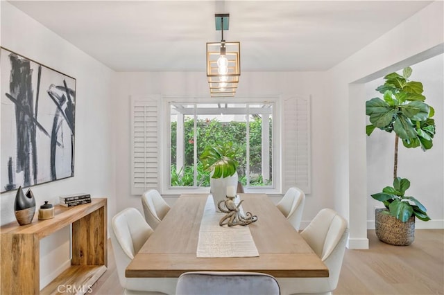 dining area with light hardwood / wood-style flooring