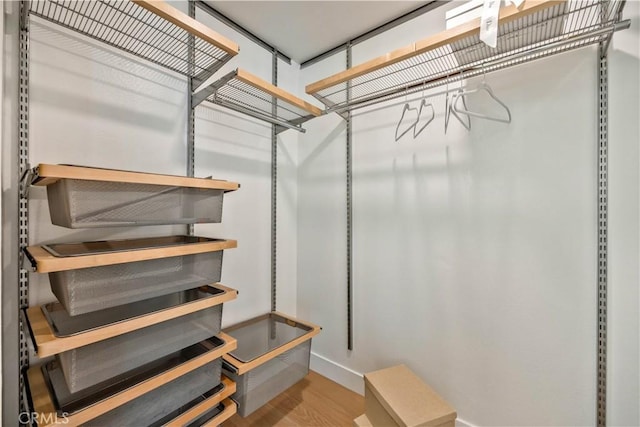 spacious closet with wood-type flooring