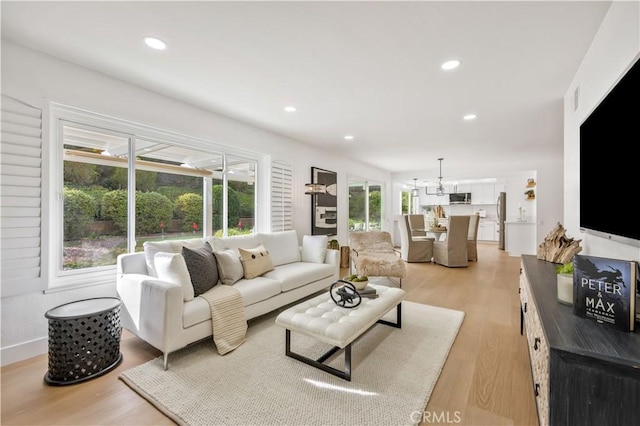 living room featuring light hardwood / wood-style floors