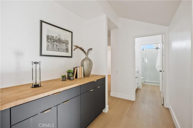 corridor featuring vaulted ceiling, light hardwood / wood-style floors, and a baseboard heating unit