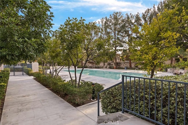 view of swimming pool with a patio area