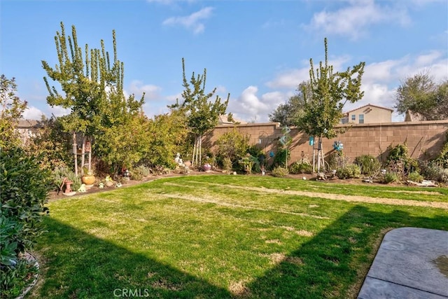 315 Timberline Way S, Madera, CA 93636 - view of yard