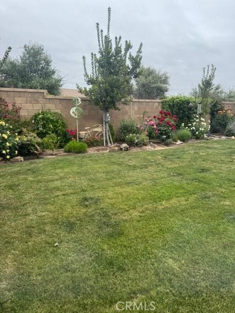 315 Timberline Way S, Madera, CA 93636 - view of yard