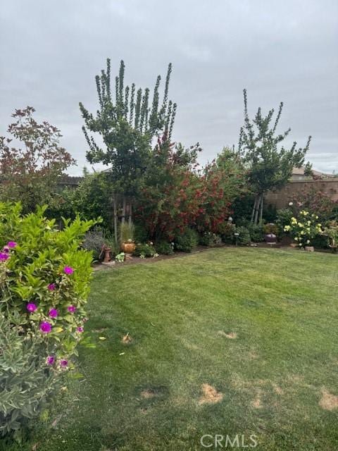315 Timberline Way S, Madera, CA 93636 - view of green lawn