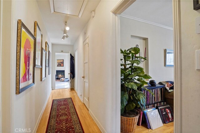 12258 Hartsook St, Valley Village, CA 91607 - photo 25
