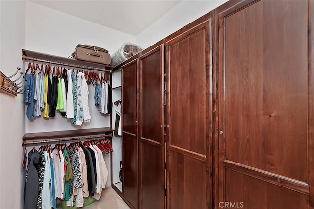 view of walk in closet