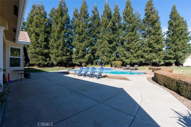 view of pool featuring a patio area