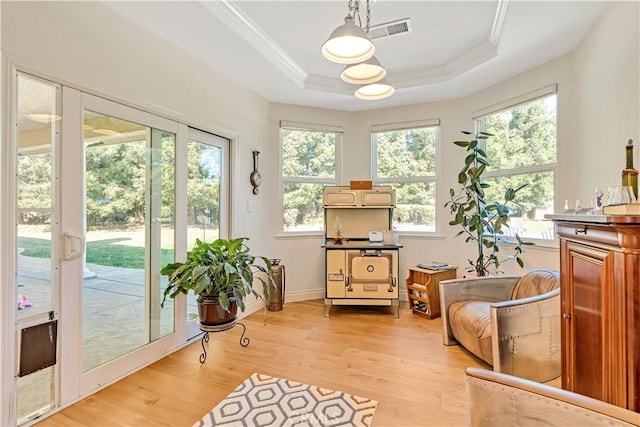 sunroom / solarium with a raised ceiling