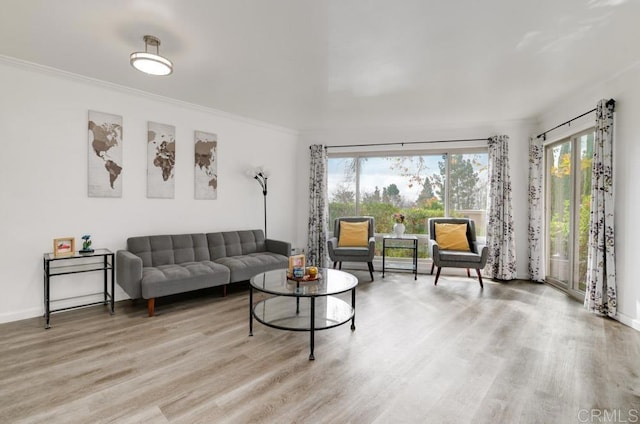 living room featuring ornamental molding and light wood-type flooring