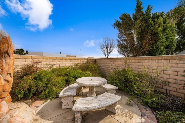 view of yard with a patio area