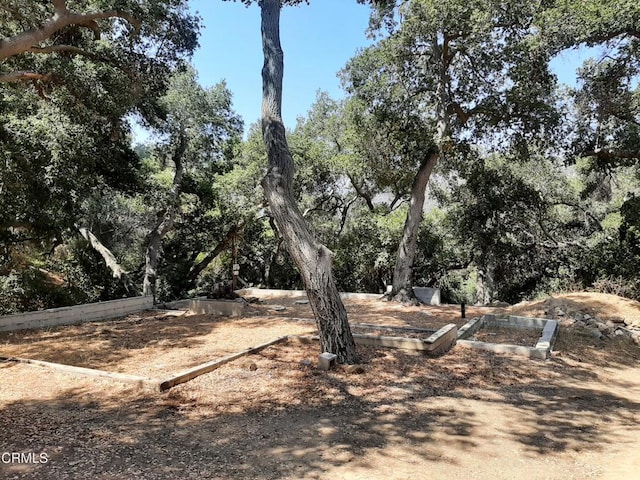 1006 N Topanga Canyon Blvd, Topanga CA, 90290 land for sale