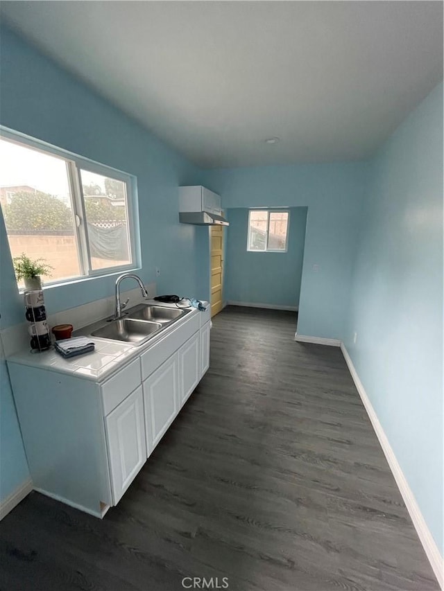 kitchen with white cabinetry, dark hardwood / wood-style floors, and sink