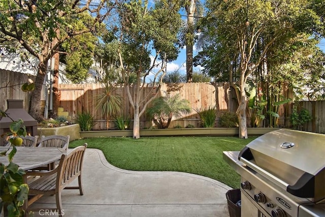 view of yard featuring a patio