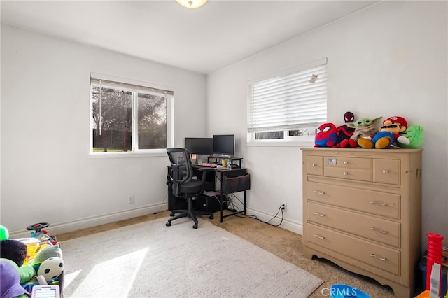 interior space featuring baseboards and carpet