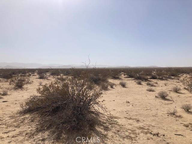1234 Winters Rd, Joshua Tree, CA 92252 - photo 1