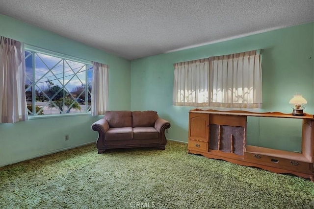 sitting room featuring a textured ceiling, a healthy amount of sunlight, and carpet