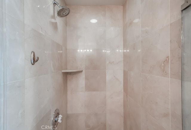 room details with tiled shower