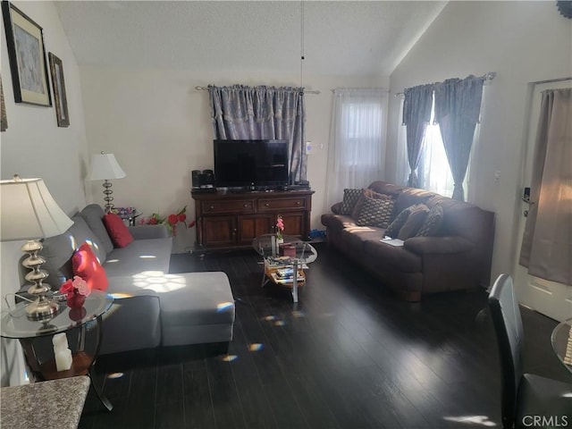 living room with lofted ceiling and dark wood-type flooring