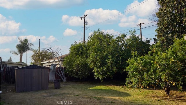 view of yard featuring a storage shed