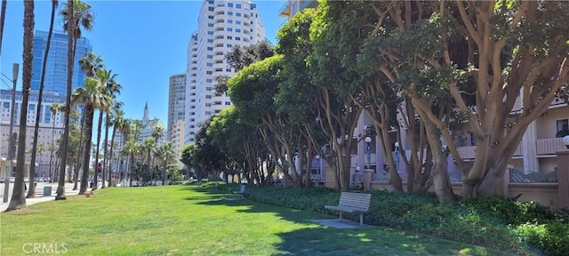 view of home's community featuring a lawn