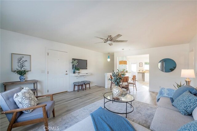 living room featuring ceiling fan and light hardwood / wood-style floors