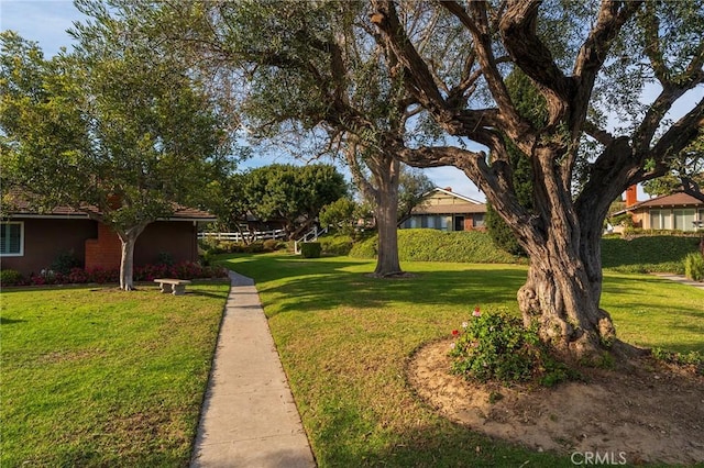 view of community featuring a yard