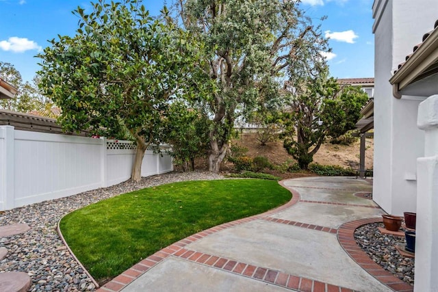 view of yard with a patio area