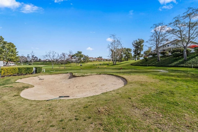 view of home's community with a yard