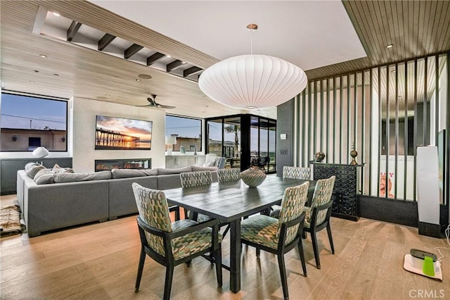 dining room with a wall of windows, light hardwood / wood-style floors, and ceiling fan