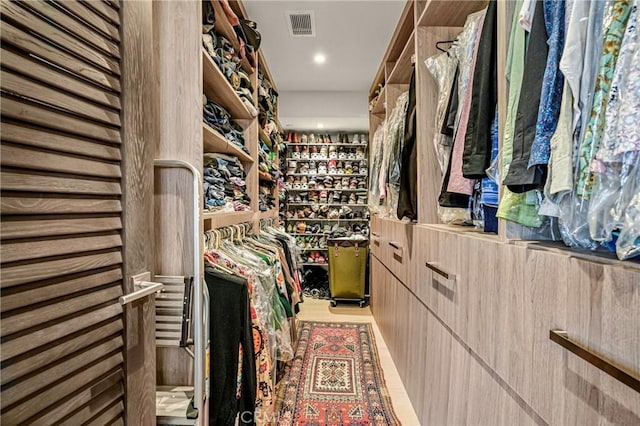 view of walk in closet