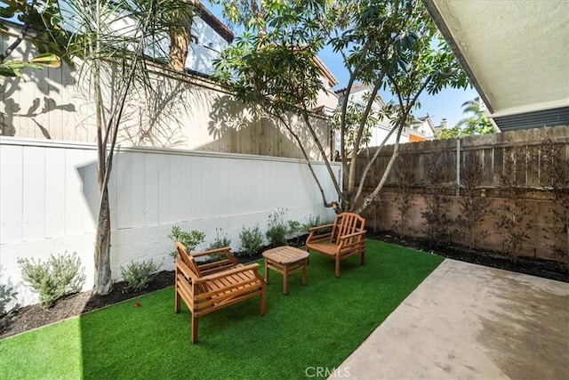 view of yard featuring a patio