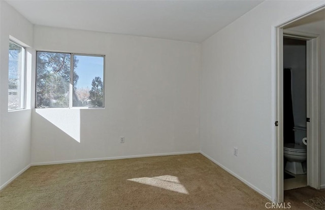 empty room featuring carpet floors