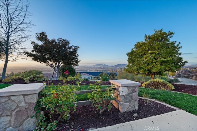 view of yard with a mountain view