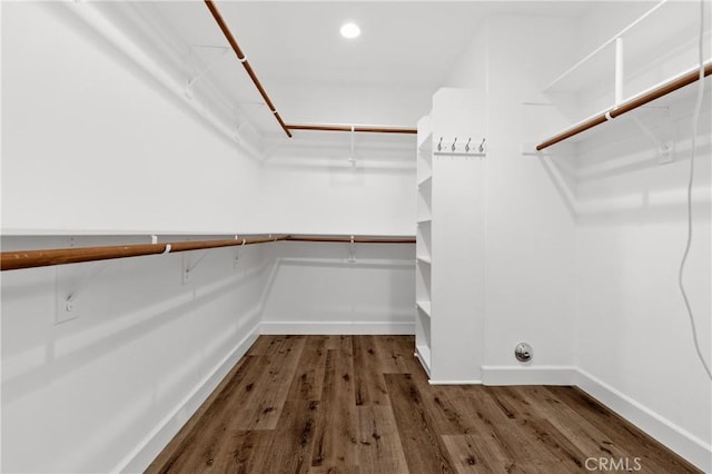 walk in closet featuring wood finished floors