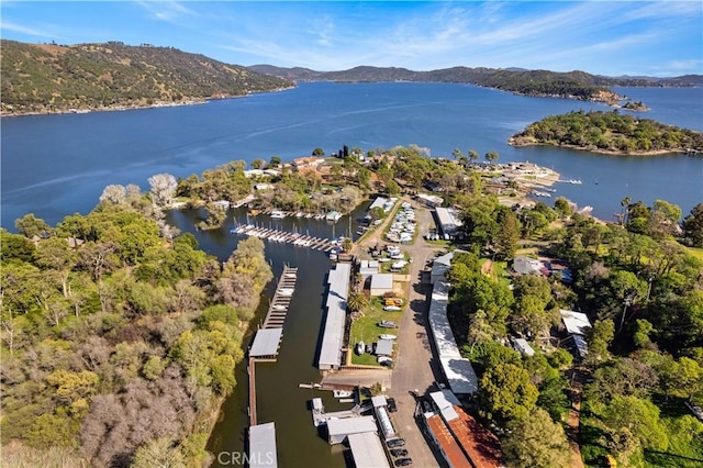 bird's eye view featuring a water and mountain view