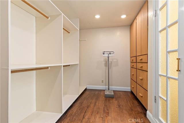 walk in closet featuring dark wood-style flooring